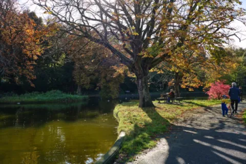 Budget-friendly family days out for October half-term